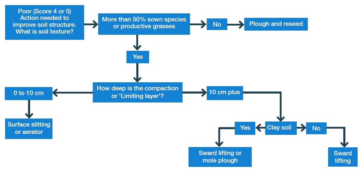 Decision tree to aid in decision making if soils score poorly. Copyright AHDB. 